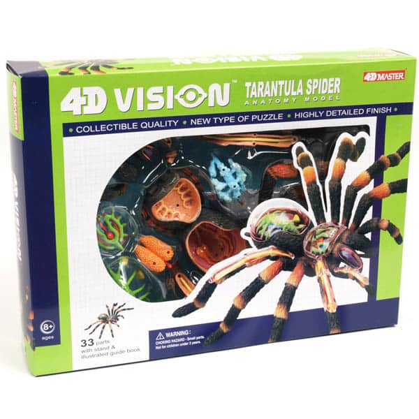 4D ŽIVOTINJE - TARANTULA PAUK 