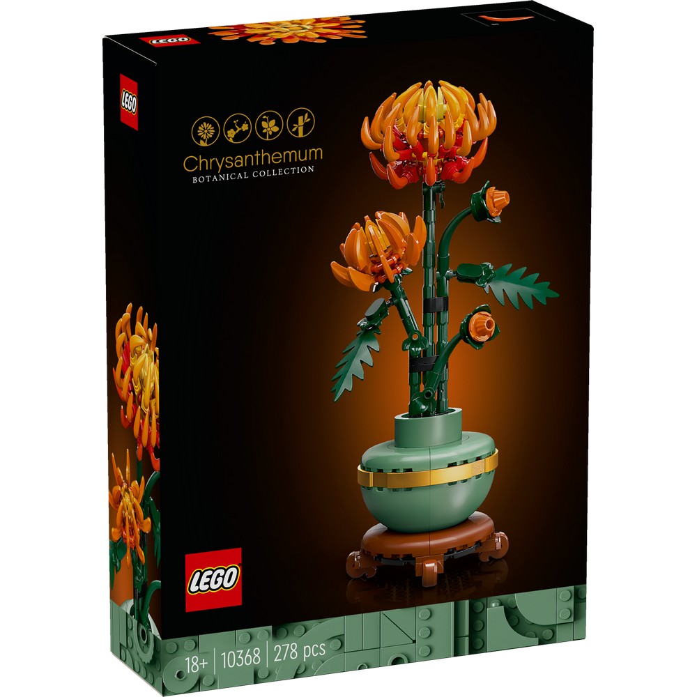 CHRYSANTHEMUM 