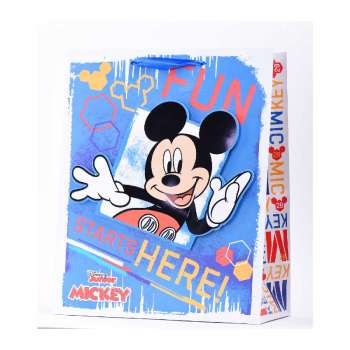 CAS07138 UKRASNA  KESA DISNEY HOT STAMPING/3D VELIKA 