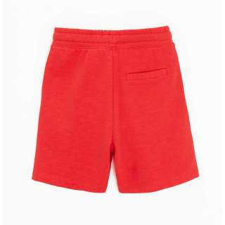 COOL CLUB SORTS RED BOTANIC