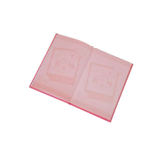 CNCMM22238 CANENCO DNEVNIK SET MINNIE MOUSE