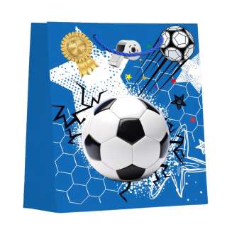 UKRASNA KESA SREDNJA FOOTBALL ASST 