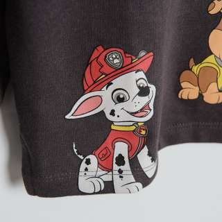 NN DUKS PAW PATROL NICKELODEON 
