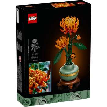 CHRYSANTHEMUM 
