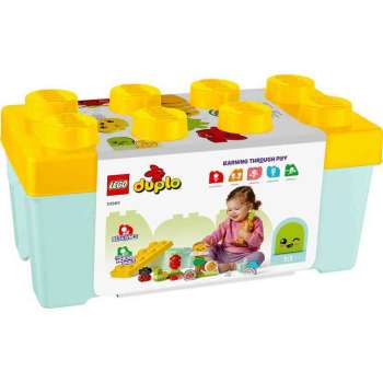 LEGO DUPLO ORGANSKI VRT 