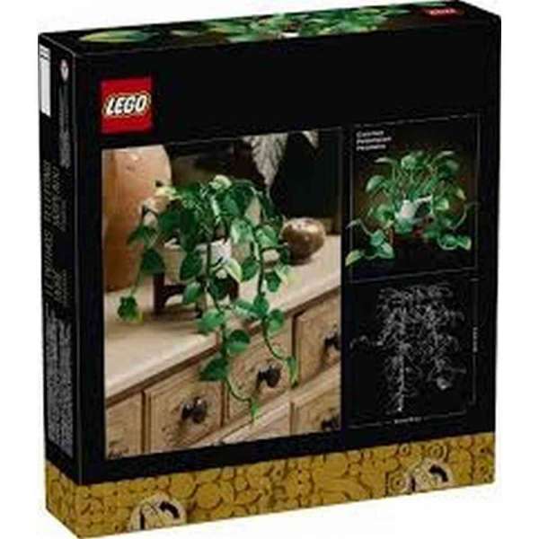 11513 DARK FLOWER ARRANGEMENT V29 