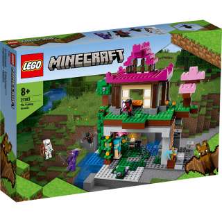 LEGO MINECRAFT PROSTOR ZA VJEZBU 