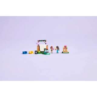 LEGO FRIENDS FRIENDSHIP MOVIE NIGHT 
