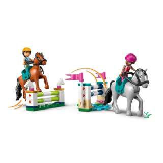 LEGO FRIENDS HORSE STABLE AND RIDING ACADEMY 