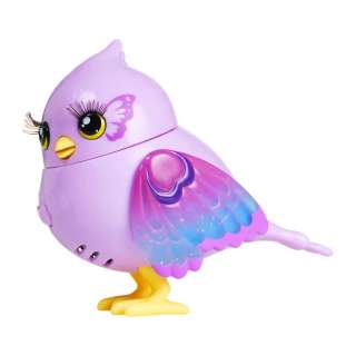 LLP SVETLECA PTICICA ASST