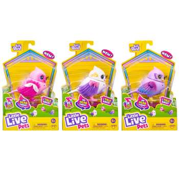LLP SVETLECA PTICICA ASST 