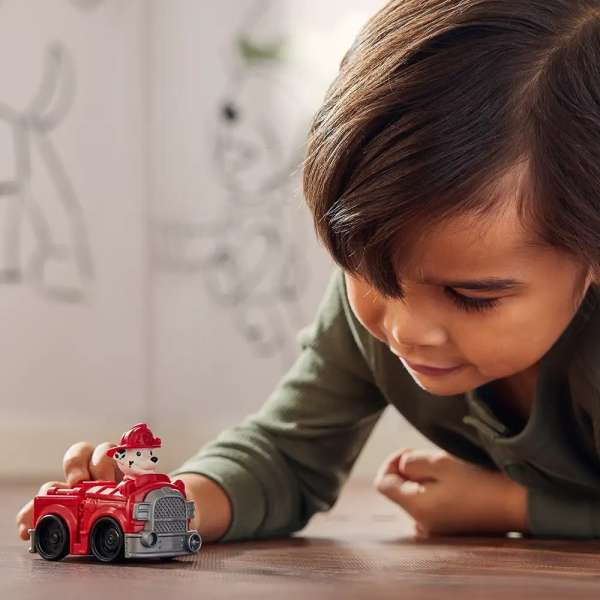 SN6067902 PAW PATROL FIGURICA VOZILO ASST CDU 