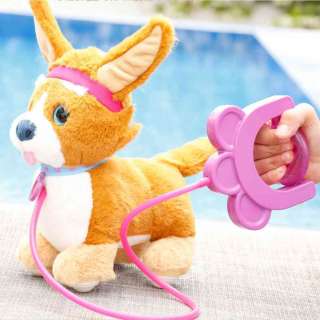 EO14763 SPRINT PUPPY