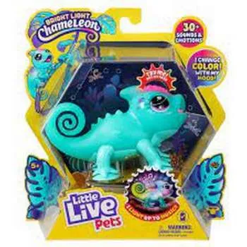 LIL CHAMELEON SUNNY 