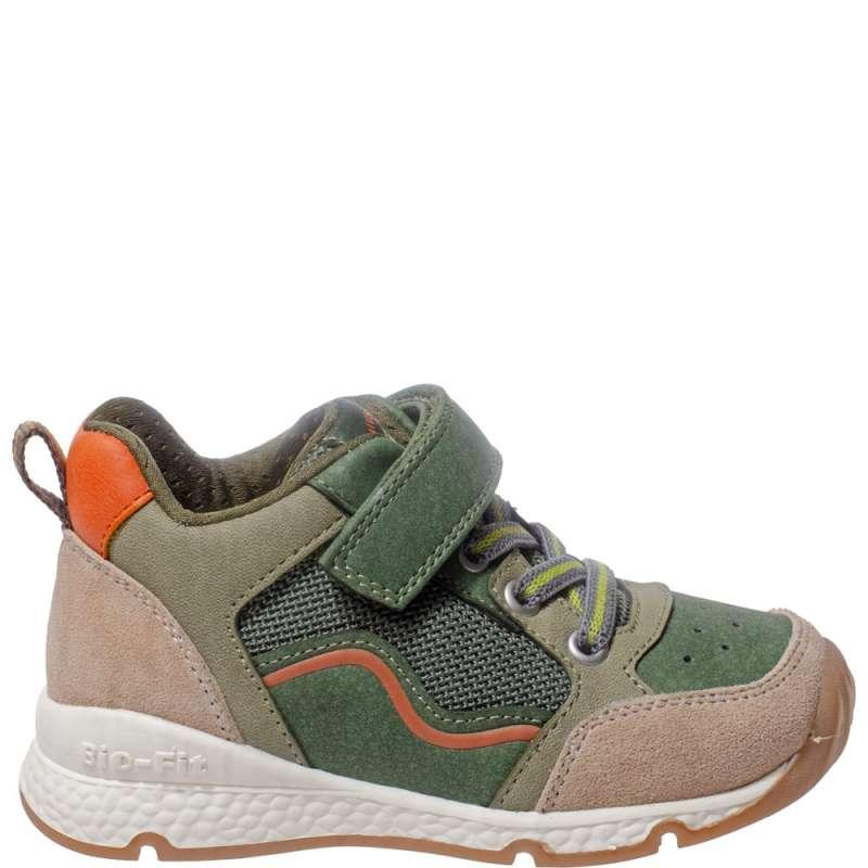 POLLINO CIPELE GREEN 