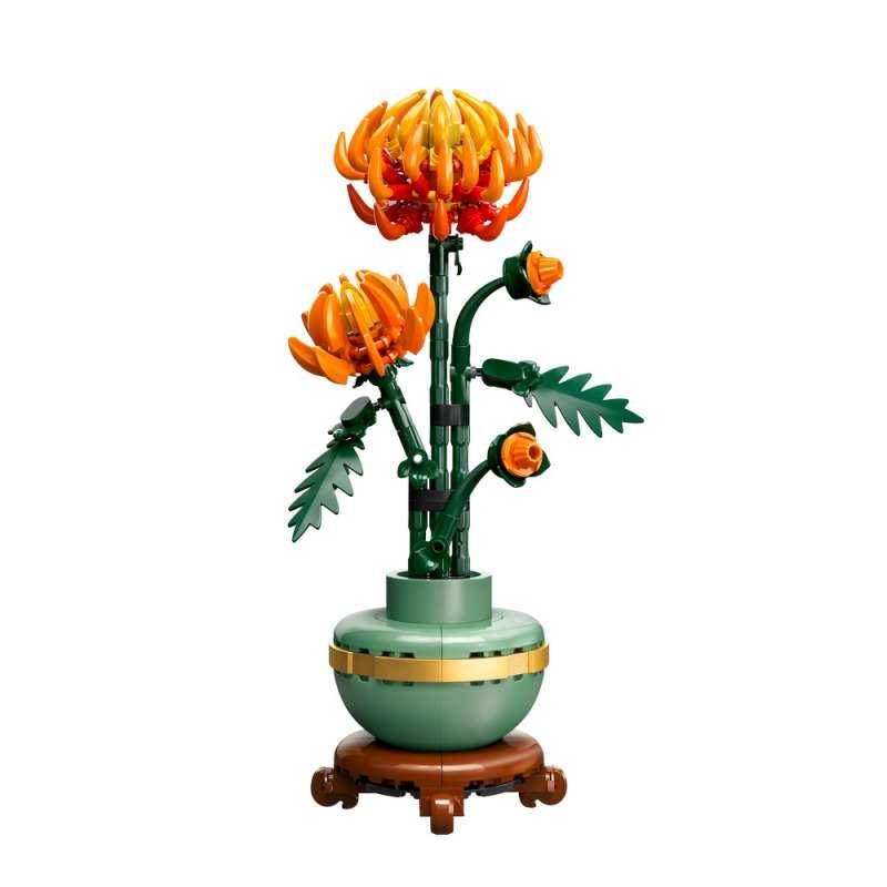 CHRYSANTHEMUM 