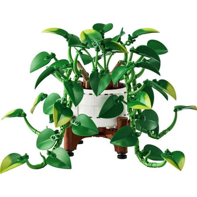 11512 HANGING GOLDEN POTHOS V29 