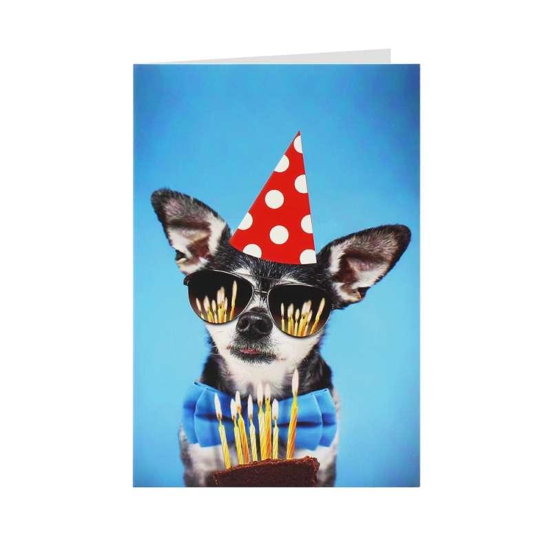 MAG18656 CESTITKA HAPPY BIRTHDAY DOG