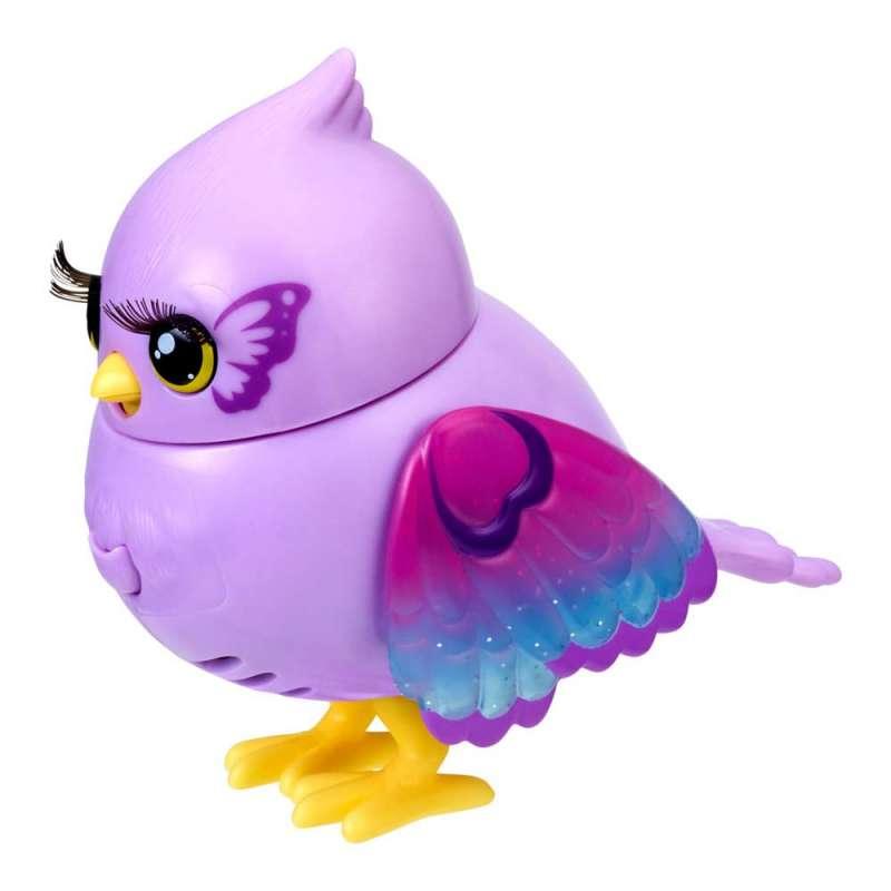 LLP SVETLECA PTICICA ASST