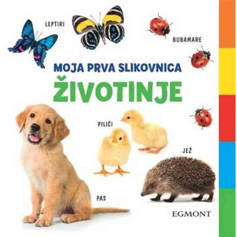 MOJA PRVA SLIKOVNICA 