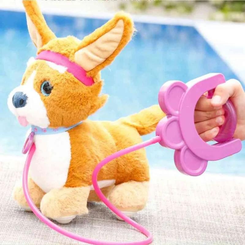 EO14763 SPRINT PUPPY