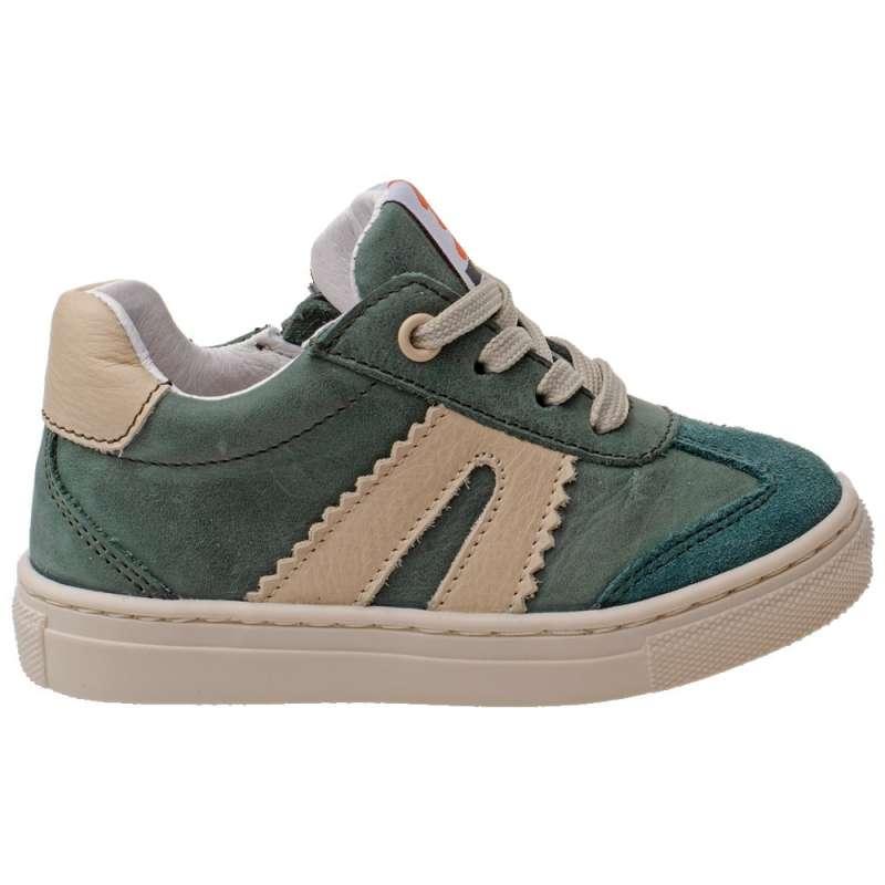 POLLINO CIPELA GREEN 