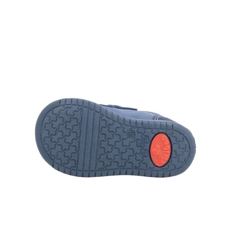 CICIBAN CIPELE MARINES OCEAN 