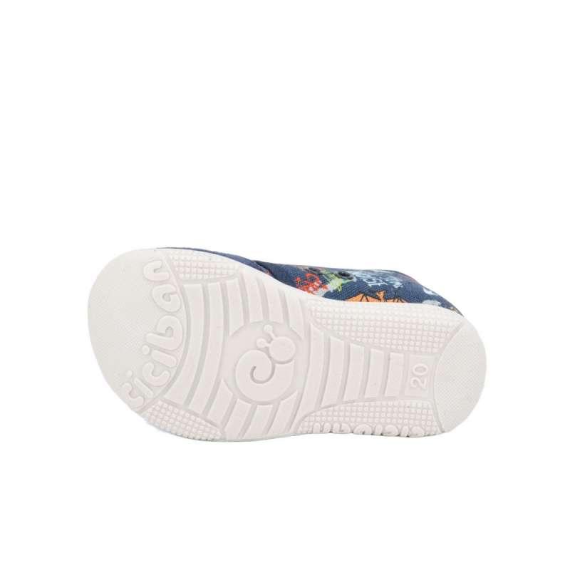 CICIBAN PATOFNE  FENIX 