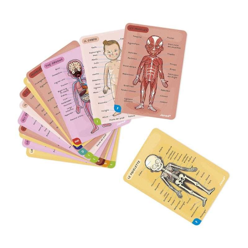 BODYMAGNET NA 12 JEZIKA