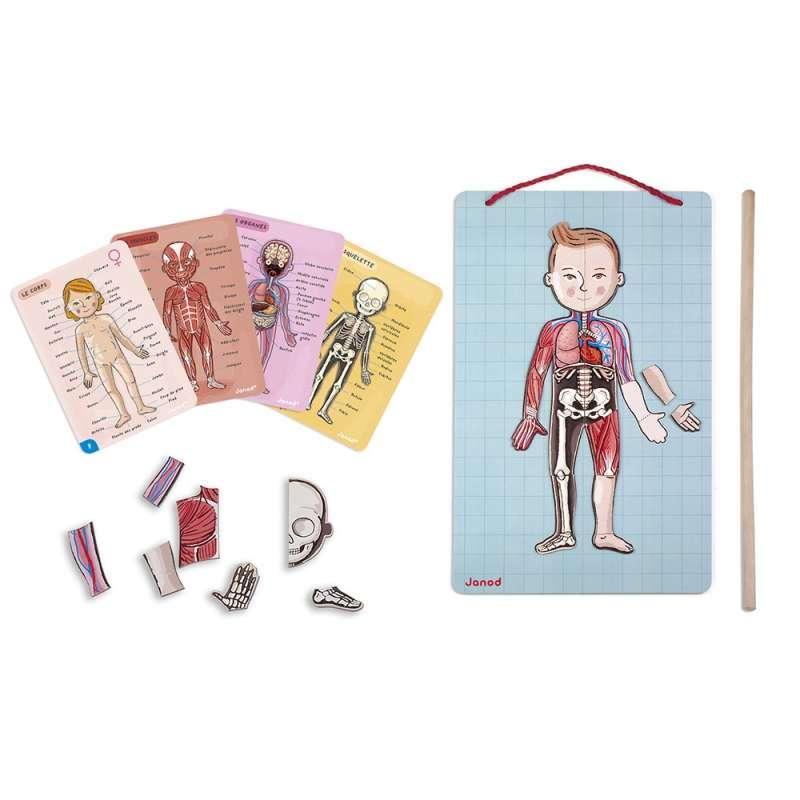 BODYMAGNET NA 12 JEZIKA