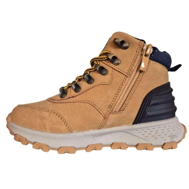 POLLINO CIPELE SAHARA 