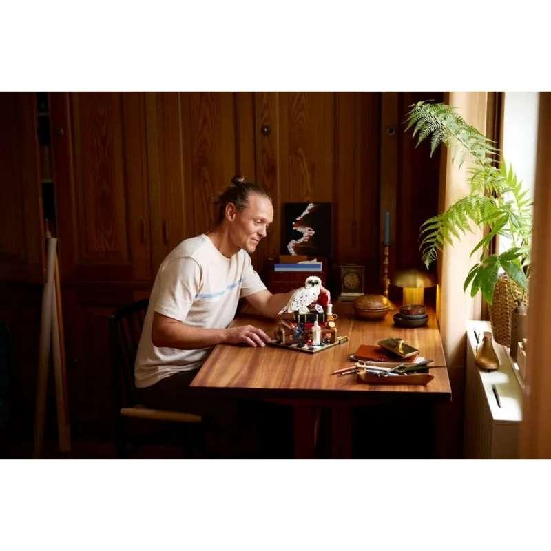 LEGO HARRY POTTER SORCERERS STONE COLLECTORS EDITION 